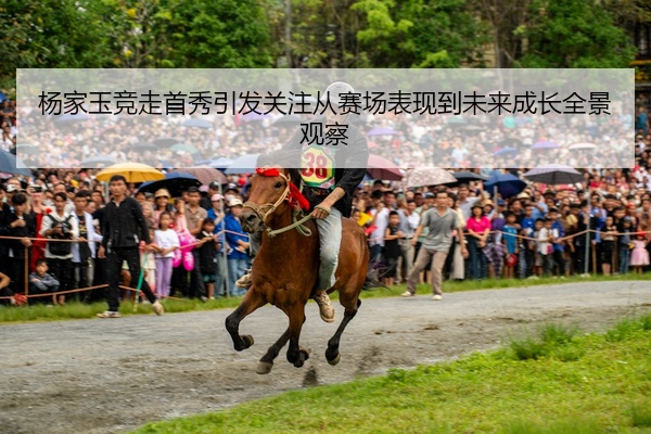img_1777352492585_137_1_668.jpg